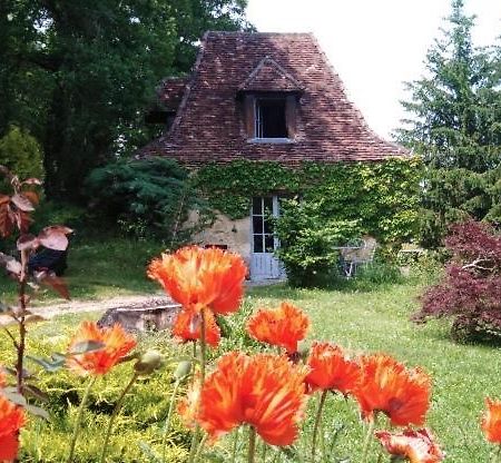 Petite Maison En Perigord Noir Plazac エクステリア 写真