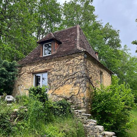 Petite Maison En Perigord Noir Plazac エクステリア 写真