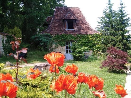 Petite Maison En Perigord Noir Plazac エクステリア 写真
