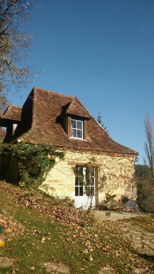 Petite Maison En Perigord Noir Plazac エクステリア 写真